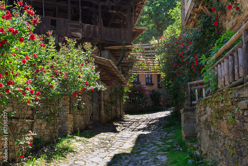 Fototapeta Naklejka Na Ścianę i Meble -  Village of Kovachevitsa with nineteenth century houses, Bulgaria