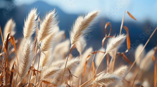 Bone-Chilling Wind Natural Colors  Background Image  Background For Banner  HD