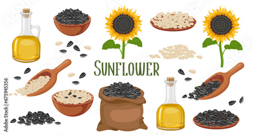 Sunflower set. Sunflower oil, sunflower plant, seeds in a canvas bag, wooden spoon and bowl. Agriculture, food. Vector