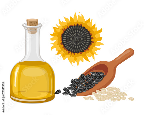 Sunflower set. Sunflower oil, sunflower plant, seeds in a wooden spoon. Agriculture, food. Vector