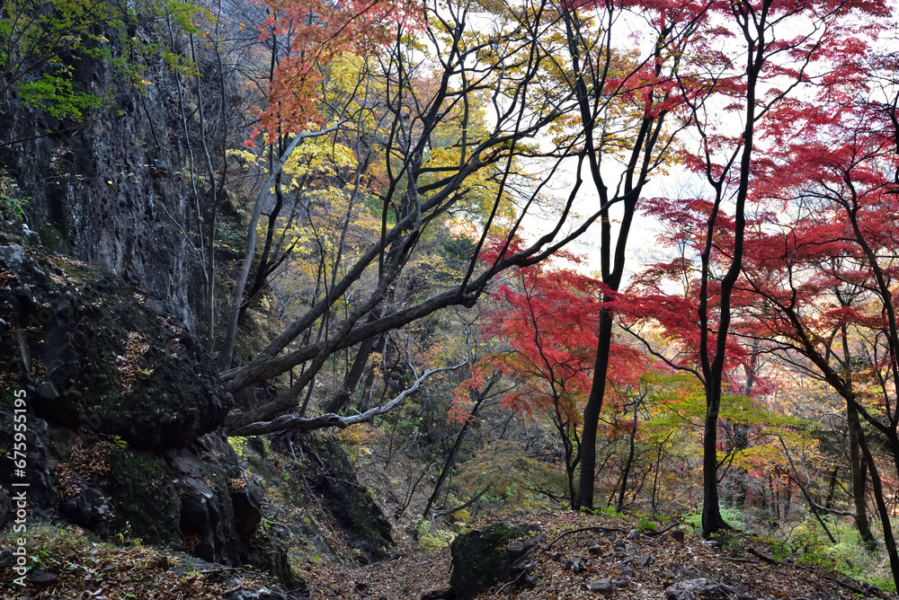 Climbing Mount Iwabitsu, Gunma, Japan Climbing Mount Iwabitsu, Gunma, Japan