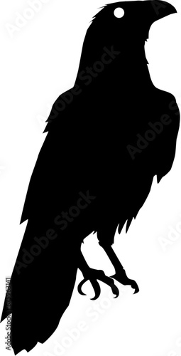 silhouette of a raven