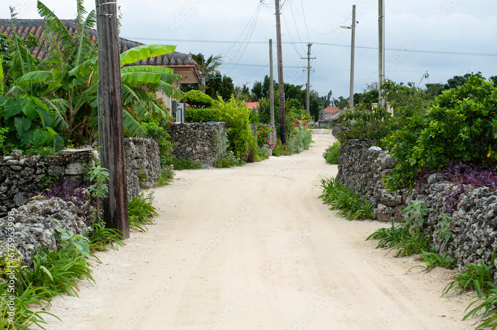 vineyard,竹富島,沖縄,日本