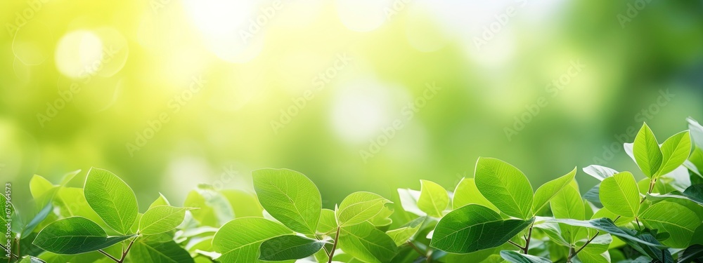 Nature of green leaf in garden at summer. Natural green leaves plants using as spring background cover page greenery environment , generative ai Nature of green leaf in garden at summer. Natural green leaves plants using as spring background cover page greenery environment , generative ai