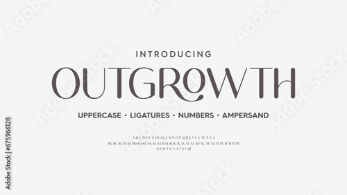 Classic rounded typography elegant. Lettering minimal fashion designs. Alphabet uppercase, ampersand, ligatures. 