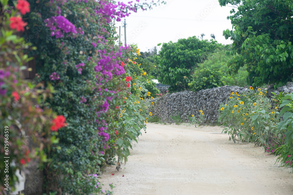 Obraz premium path in the park,竹富島,沖縄,日本