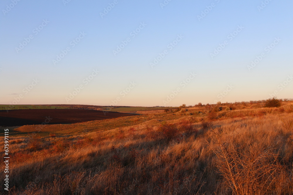 A field of brown grass A field of brown grass