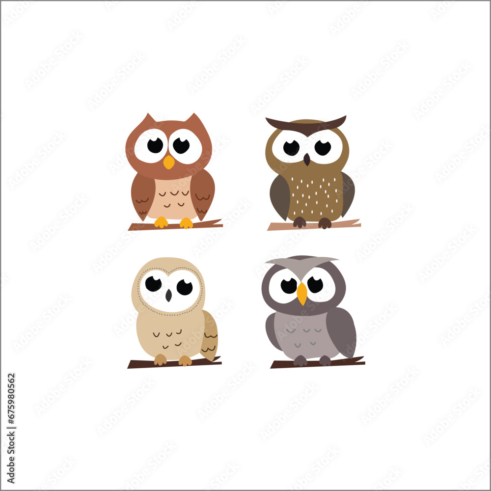 Four owl
