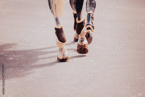 A grey horse trotting along a paved road, its hooves rhythmically striking the ground. The timeless allure of equestrian life. The beauty and grace of the equestrian world.