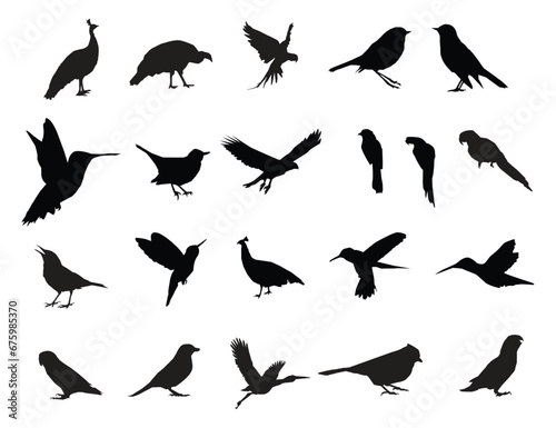 Vector set of birds silhouette