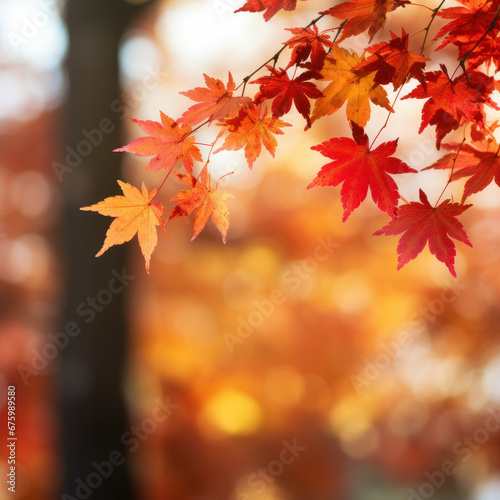 Vibrant Autumn Colors Maple Leaves .ai generative