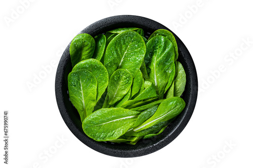 Raw leaves of romaine lettuce in colander.  Transparent background. Isolated photo