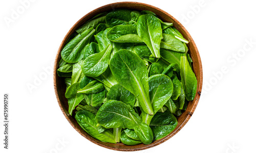 Young romain green salad leaves in wooden plate.  Transparent background. Isolated photo