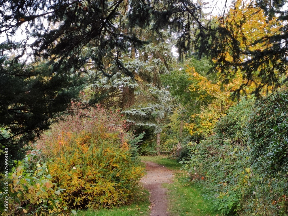 Herbstlich bunte Naturlandschaft im Waldpark