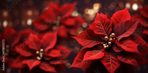 Festive Poinsettia Floral Backgrounds. Red Bokeh Lights & Dark Bronze Tones.