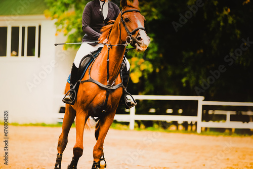 A beautiful sorrel horse with a rider in the saddle jumps in the summer on an outdoor arena. Equestrian sports and dressage competitions. Riding skills.