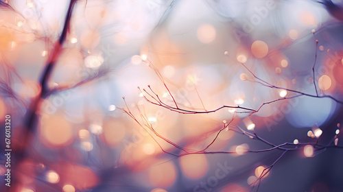 Tree branches with lights © Philippova
