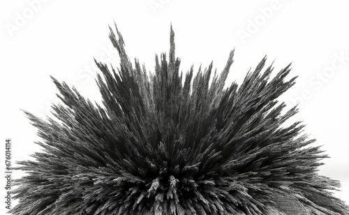 Iron dust spikes. Reaction of iron powder to a magnetic field. Iron filings. Isolated on white background.