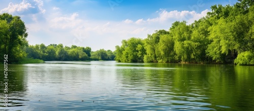 In the background the serene summer sky reflects on the shimmering water creating a picturesque landscape that showcases the beauty of nature The lush green forest adorned with trees and vi