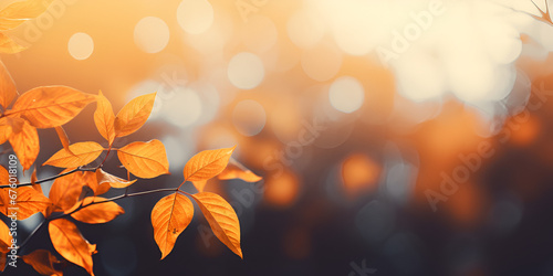 autumn leaves in the sun, Autumn Natural Background, Beautiful autumn leaves natural light background colorful foliage in october, Colorful Autumn The Dance of the Fall Leaves, generative AI