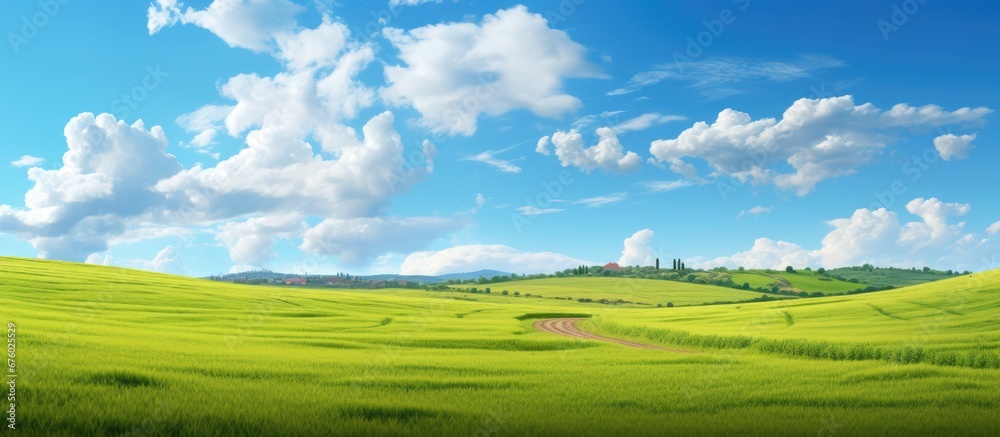Fototapeta premium In summer as you travel through Europe the sky transforms into a beautiful blue canvas while the sun bathes the lush green fields of agriculture in its golden glow creating a breathtaking l
