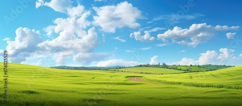 In summer as you travel through Europe the sky transforms into a beautiful blue canvas while the sun bathes the lush green fields of agriculture in its golden glow creating a breathtaking l
