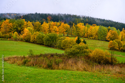 Jeseníky, autumn, water, mountains, forest, trees, landscape, autumn, river, water, forest, fall, nature, waterfall, tree, landscape, trees, rocks, green, beautiful, rock, season, colorful