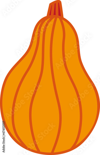 Courge