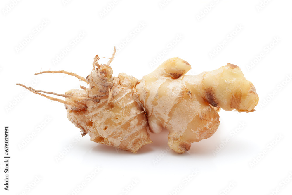 Close-up of Indian organic Ginger (Zingiber officinale) isolated on a white background.