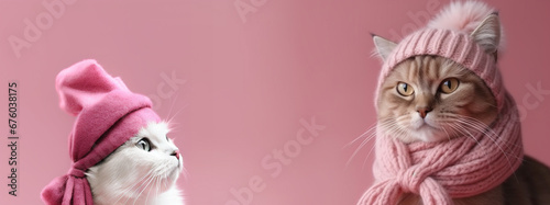 Cats in pink scarves and hats. AI Generated