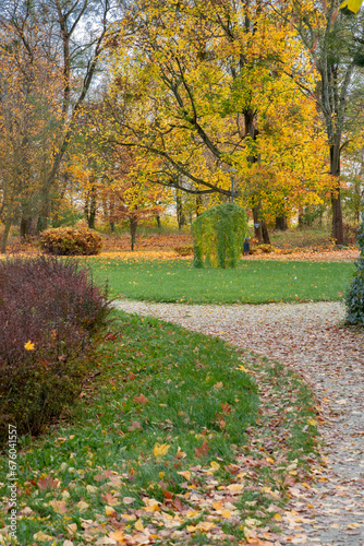 Park w jesiennych kolorach, drzewa z barwnymi liśćmi z przewagą żółtego i brązowego © Natural View