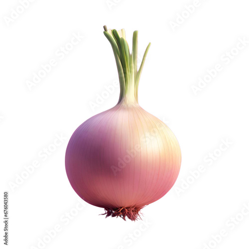 A close up of a onion