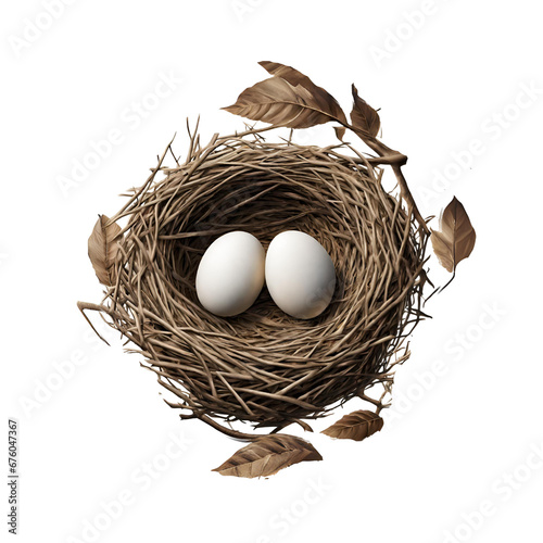 Two eggs in a nest