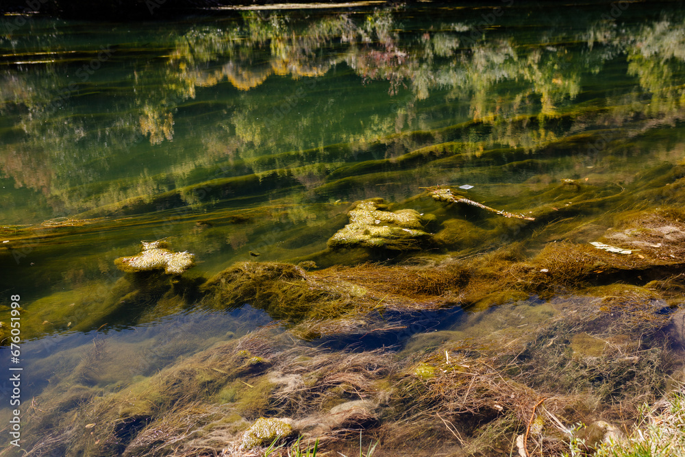 Transparent river water with moss and reflection of the autumn forest