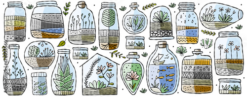 Florarium in bottle set with cactuses, succulents, leaves, branches, stones a...