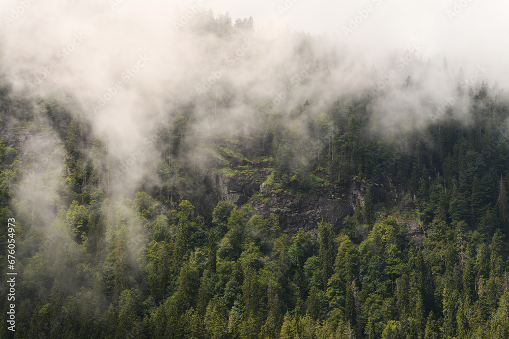 Bergwald mit Wolken, Bayerischer Wald, Deutschland