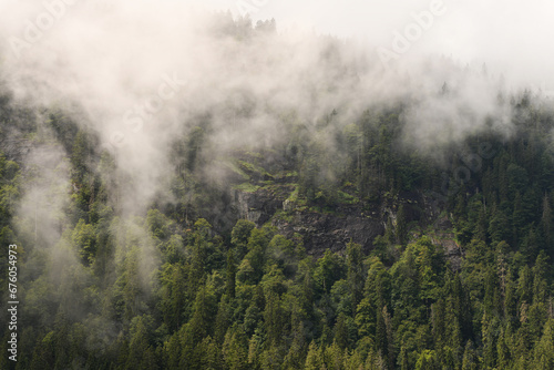 Bergwald mit Wolken, Bayerischer Wald, Deutschland © MHP