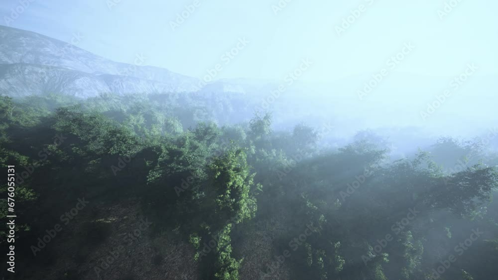 Aerial view drone shot of mountain tropical rainforest Aerial view drone shot of mountain tropical rainforest