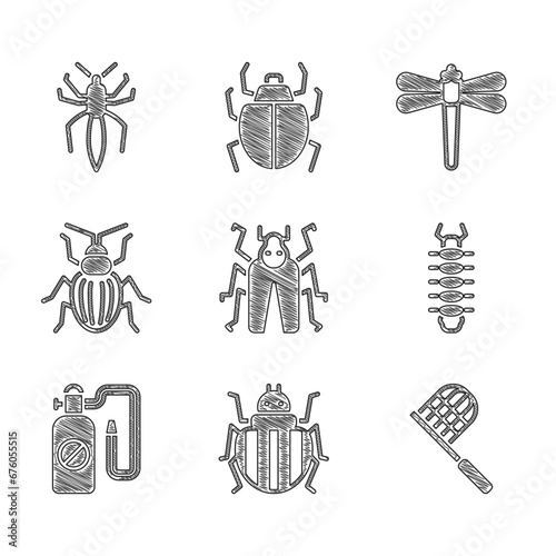 Set Beetle bug, Colorado beetle, Butterfly net, Centipede, Pressure sprayer, Chafer, Dragonfly and Spider icon. Vector