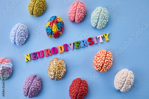 Neurodiversity concept. Multicolored figures of the brain photo