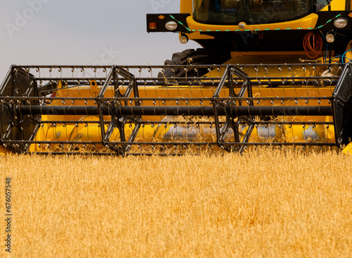 The wheat that comes at harvest time is collected with a combine harvester.