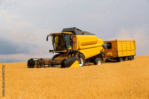 The wheat that comes at harvest time is collected with a combine harvester.