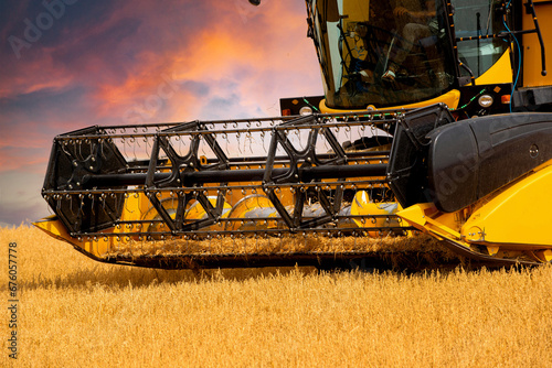 The wheat that comes at harvest time is collected with a combine harvester.
