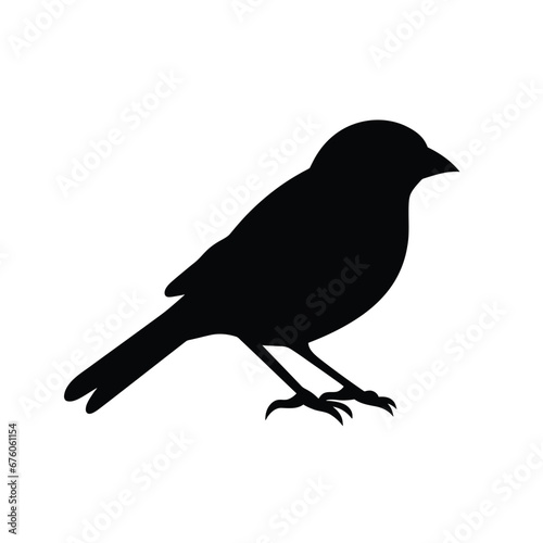 Black silhouette of a Canary vector illustration