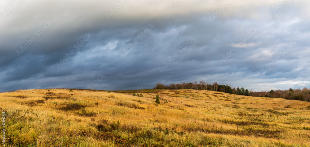 Valley with hills is covered with yellow grass, green vegetation and young trees. There is a bare forest on the horizon. The sky is completely covered in storm clouds. Autumn landscape in the evening Valley with hills is covered with yellow grass, green vegetation and young trees. There is a bare forest on the horizon. The sky is completely covered in storm clouds. Autumn landscape in the evening