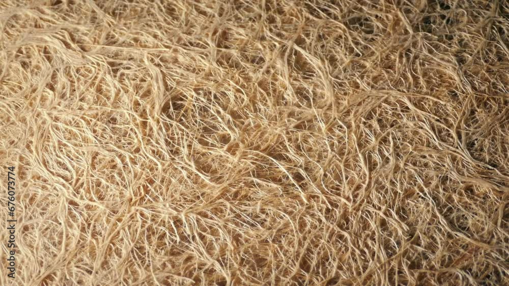 Root Mesh Horticulture Concept Rotating Shot Root Mesh Horticulture Concept Rotating Shot