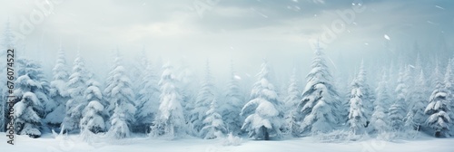 Enchanting winter wonderland with snow covered fir trees and delicate snowfall flakes © Ilja