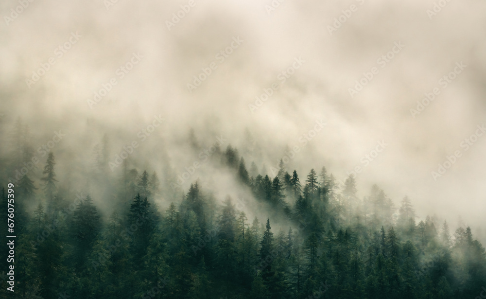 Dense Fog in the French Alps Dense Fog in the French Alps