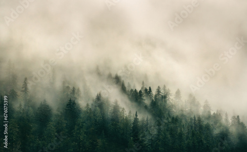 Dense Fog in the French Alps