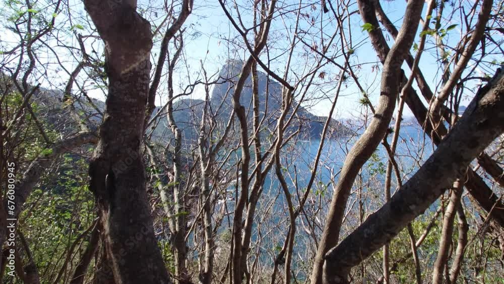 View of Sugarloaf Mountain through vegetation in Rio de Janeiro Brazil View of Sugarloaf Mountain through vegetation in Rio de Janeiro Brazil